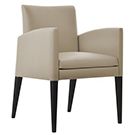 STAS-AUR-1-KP STAS-AUR-1-KP